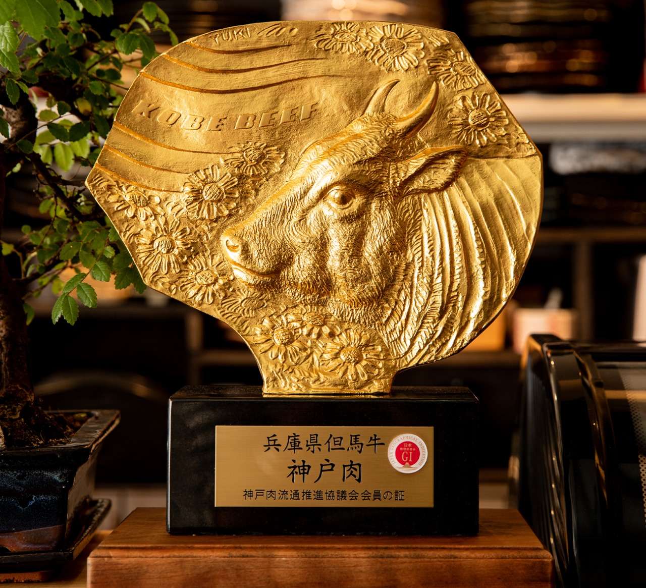 Hot Stone Japanese dining experience