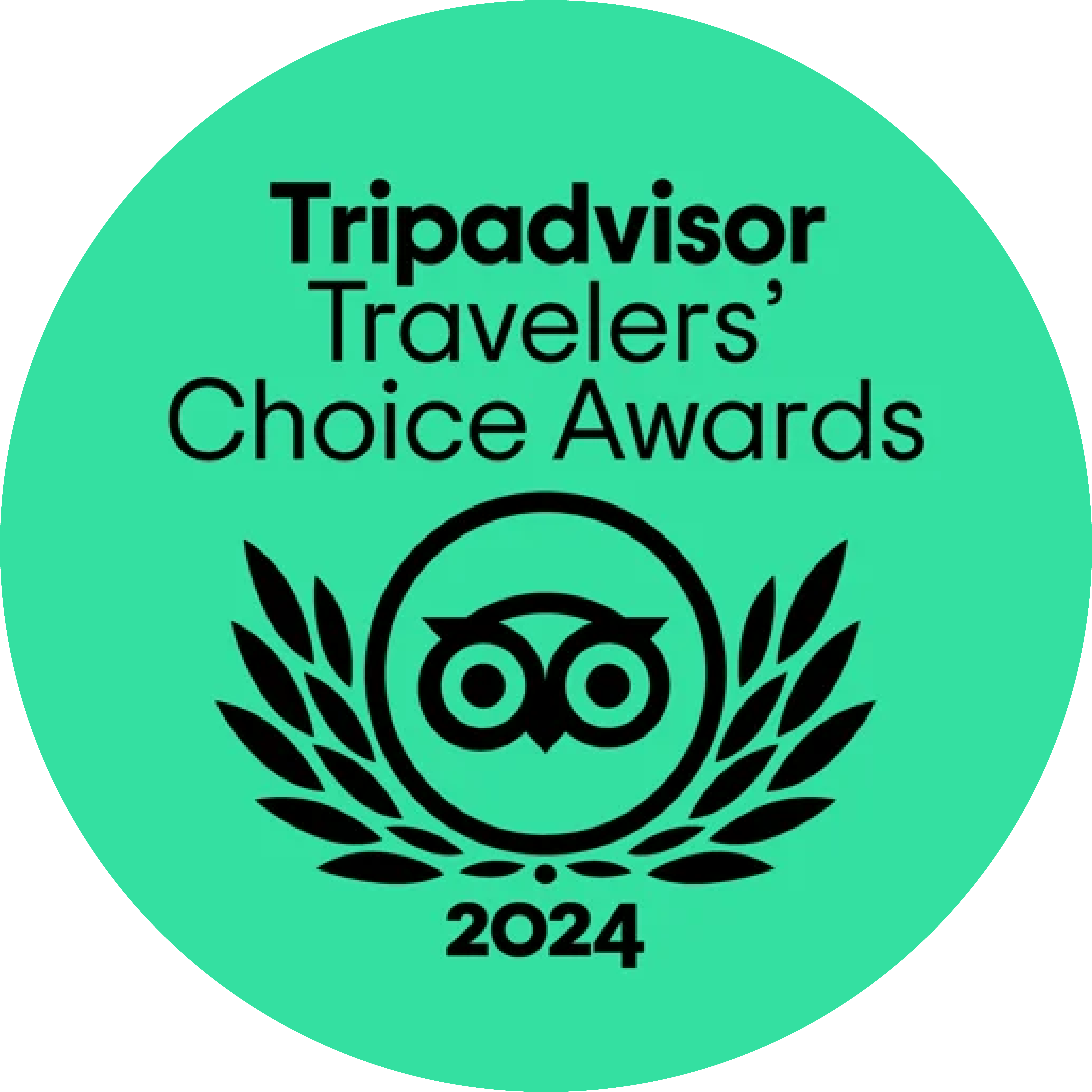 Trip Advisor 2024 Logo In Green Circle Icon